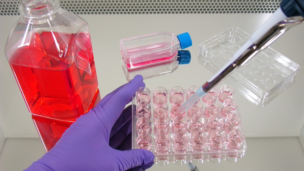  Bacterial RNA Purification Kit